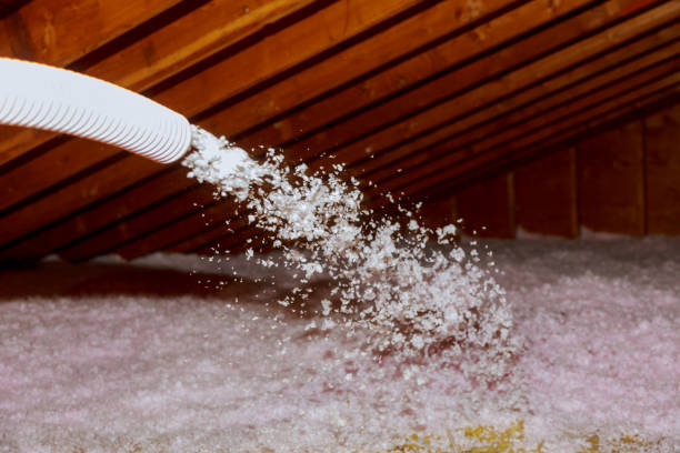  Nyon Lake, CA Insulation Contractor Pros