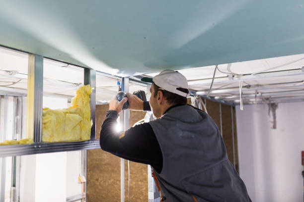 Best Residential Insulation in Nyon Lake, CA
