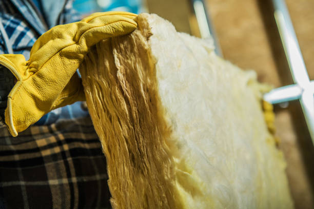Best Insulation Installation Services in Nyon Lake, CA