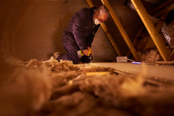 Best Specialty Insulation in Nyon Lake, CA